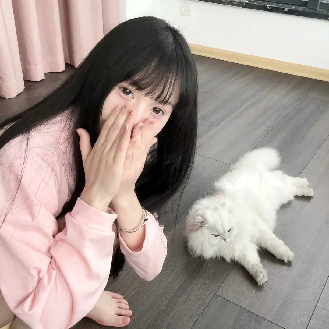 律政英雄特别版 在线观看