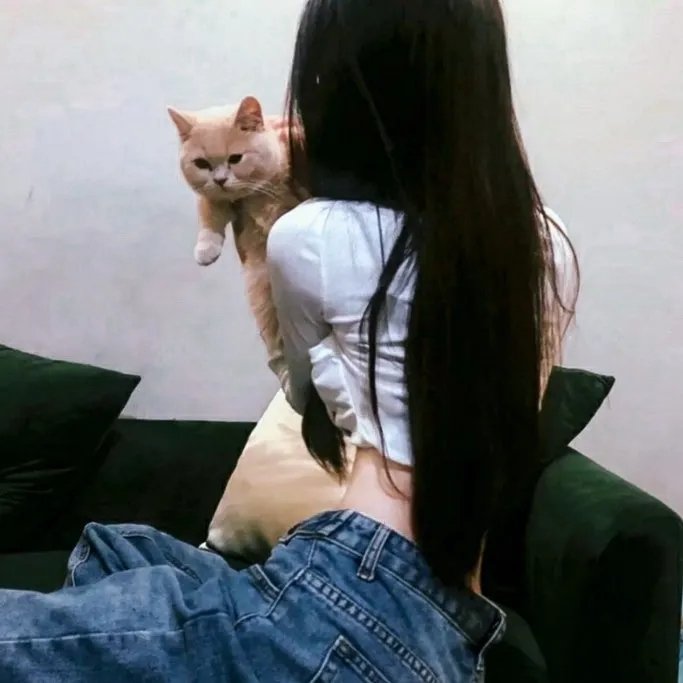 一村之长之贵妇还乡 在线观看