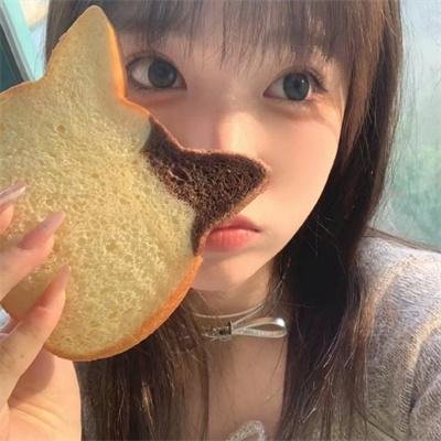 盗贼泰瑞莎